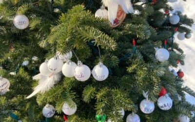 Eighty-Nine Ornaments Hung to Honor Loved Ones Lost to Addiction or Overdoses